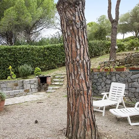Il Pino * CAMPO NELL'ELBA