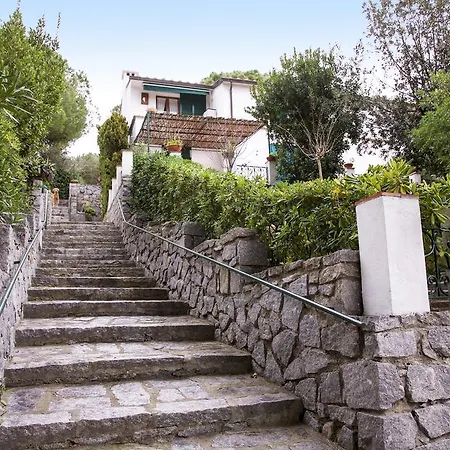 Il Pino CAMPO NELL'ELBA
